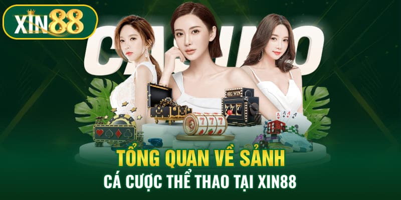 Cá cược Xin88 2