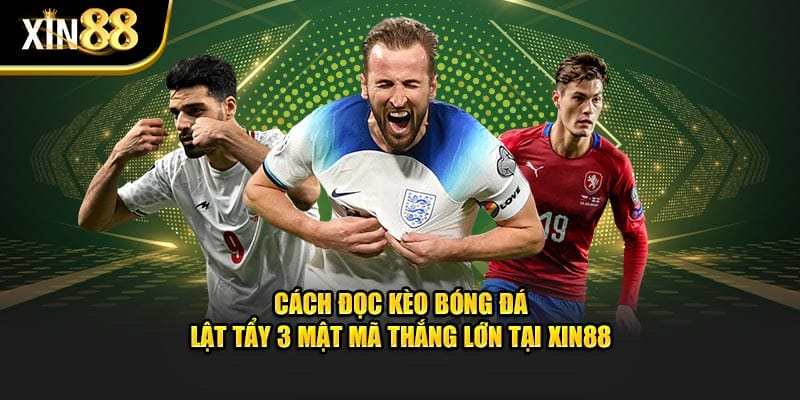 Cách đọc kèo bóng đá 1