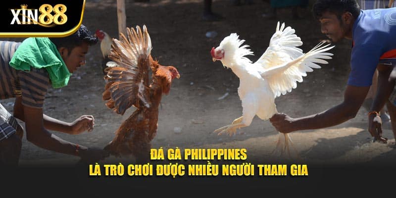 Đá gà Philippines 2