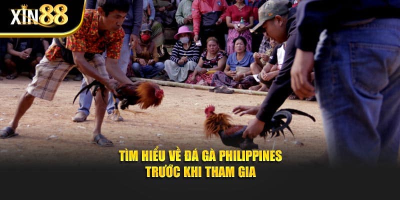 Đá gà Philippines 3