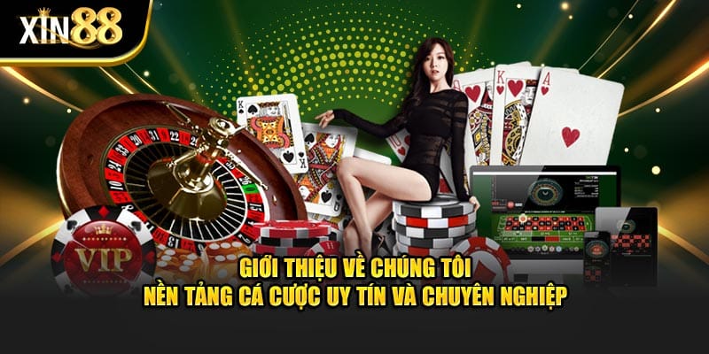 Về chúng tôi 2